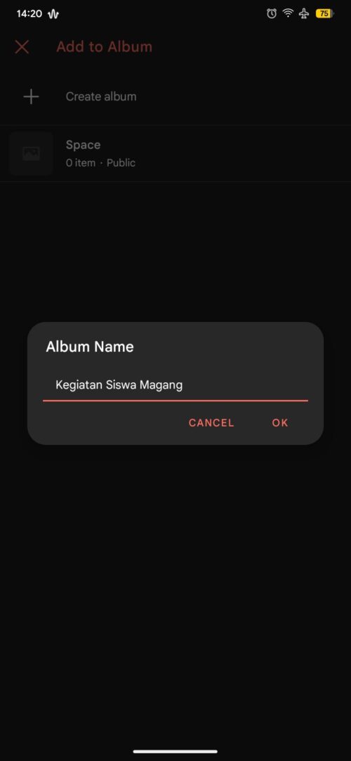 photo_3_2025-12-04_14-42-07